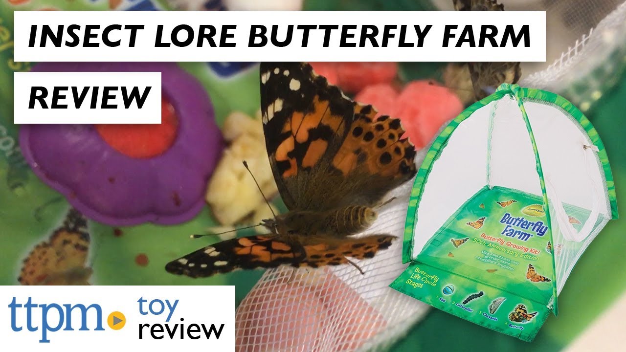Butterfly Farm from Insect Lore