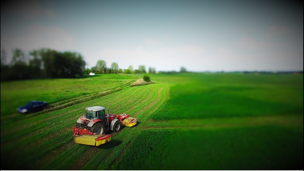 Koszenie i zbi&oacute;r lucerny 2016(-: Massey Ferguson