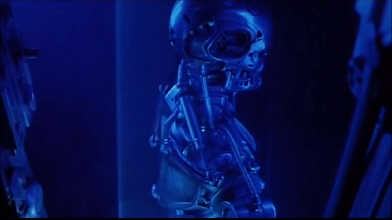 TERMINATOR  MODEL Т - 101