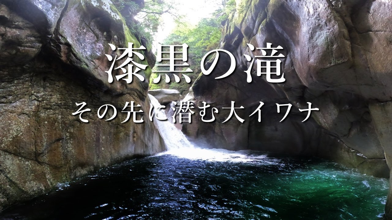 【秘境】漆黒の滝を目指して…山奥の隠れ渓流に潜む大イワナを求めて…【渓流釣り】