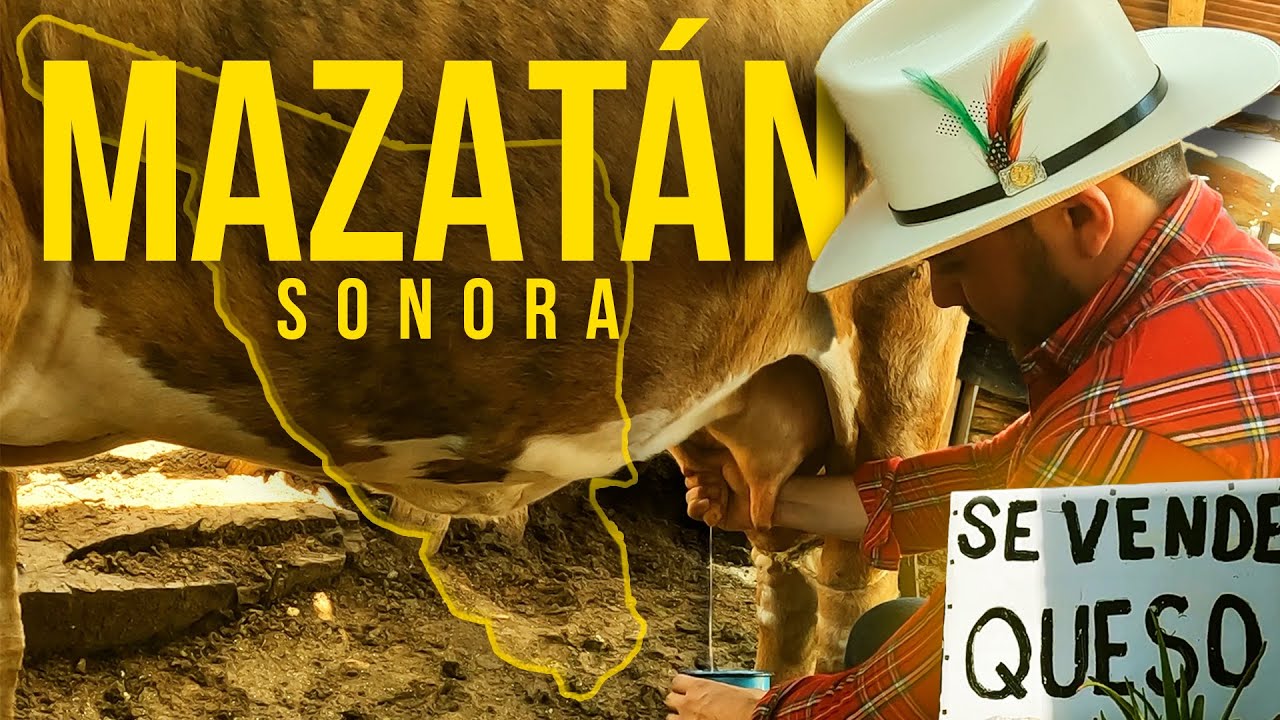 MAZATÁN, SONORA | La tradición del QUESO en este bello municipio.