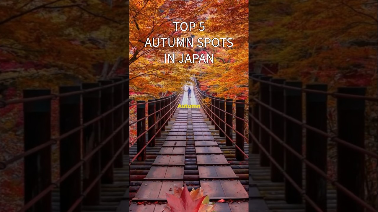 Top 5 Best Autumn 🍁 spots in Japan 