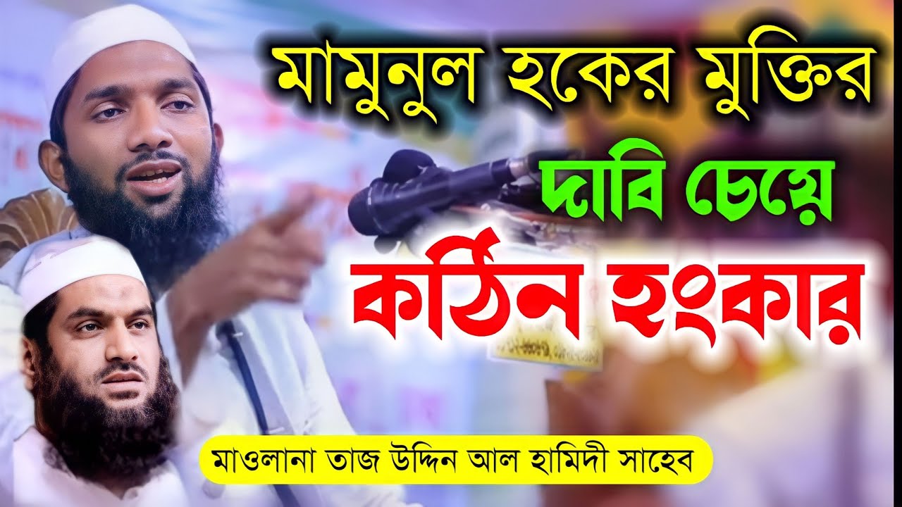তাজ উদ্দিন আল হামিদী | মামুনুল হকের মুক্তির দাবি চেয়ে কঠিন হংকার | সাহেব | Mamunul Haqe Copy|New Waz