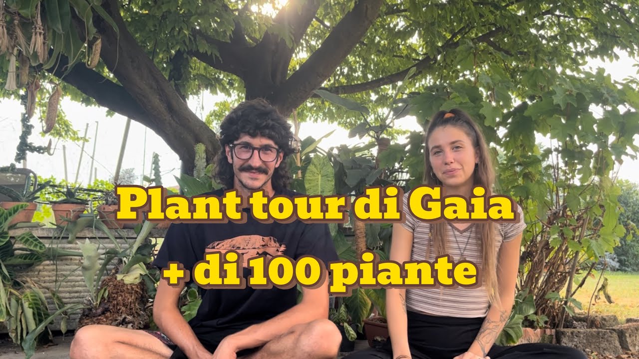 Plant tour di Gaia 🪴