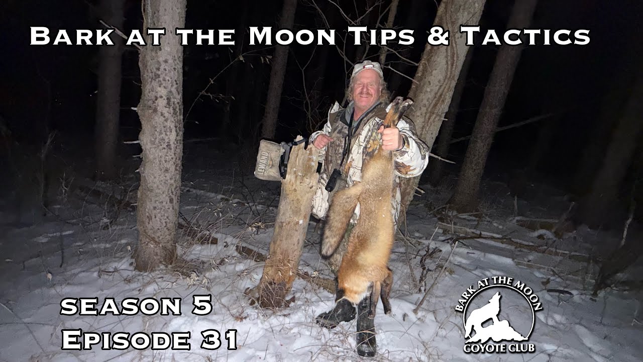 Bark at the Moon Tips & Tactics Ep 31