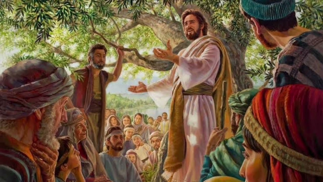 Evangelho do dia. Pe. Metodio Techy, OSBM.