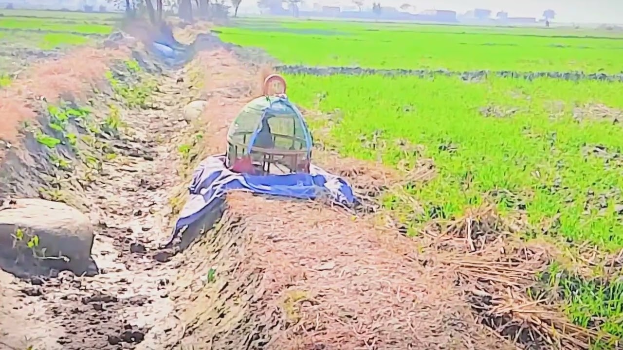 Kala tatter ke awiz 12 12 2025  duphir ka waqt subhan allah Mashahallah 
