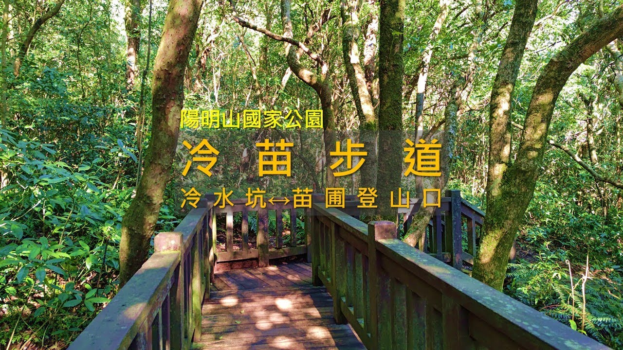 [台北士林｜北投] 陽明山冷苗步道｜指標清楚維護好，新手也能走到冷水坑
