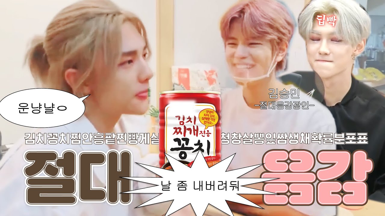 [스트레이키즈] 경찰청김치꽁치찜창살