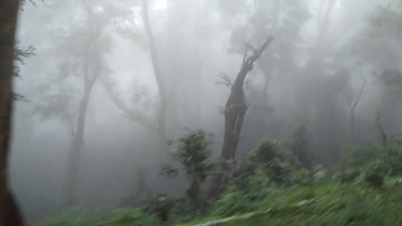 TREK THROUGH SILENT VALLEY