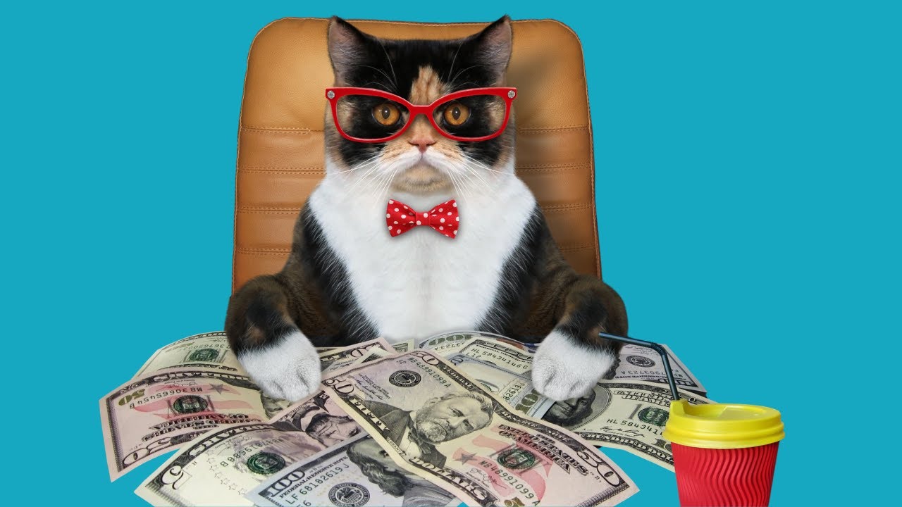 How to Thrive in a Hustle Culture