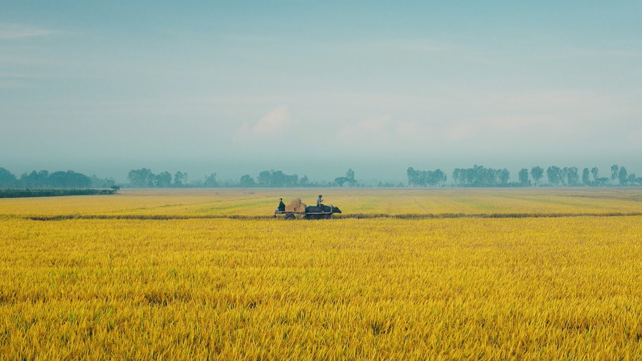 Về qu&ecirc; | Saxophone Trần Mạnh Tuấn , nhẹ nh&agrave;ng s&acirc;u lắng | Việt Nam tươi đẹp