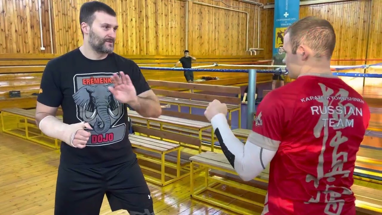 Александр Еременко и Александр Михайлов. Работа на реакцию. Зимняя Школа РНФКК 2022. Kyokushin.