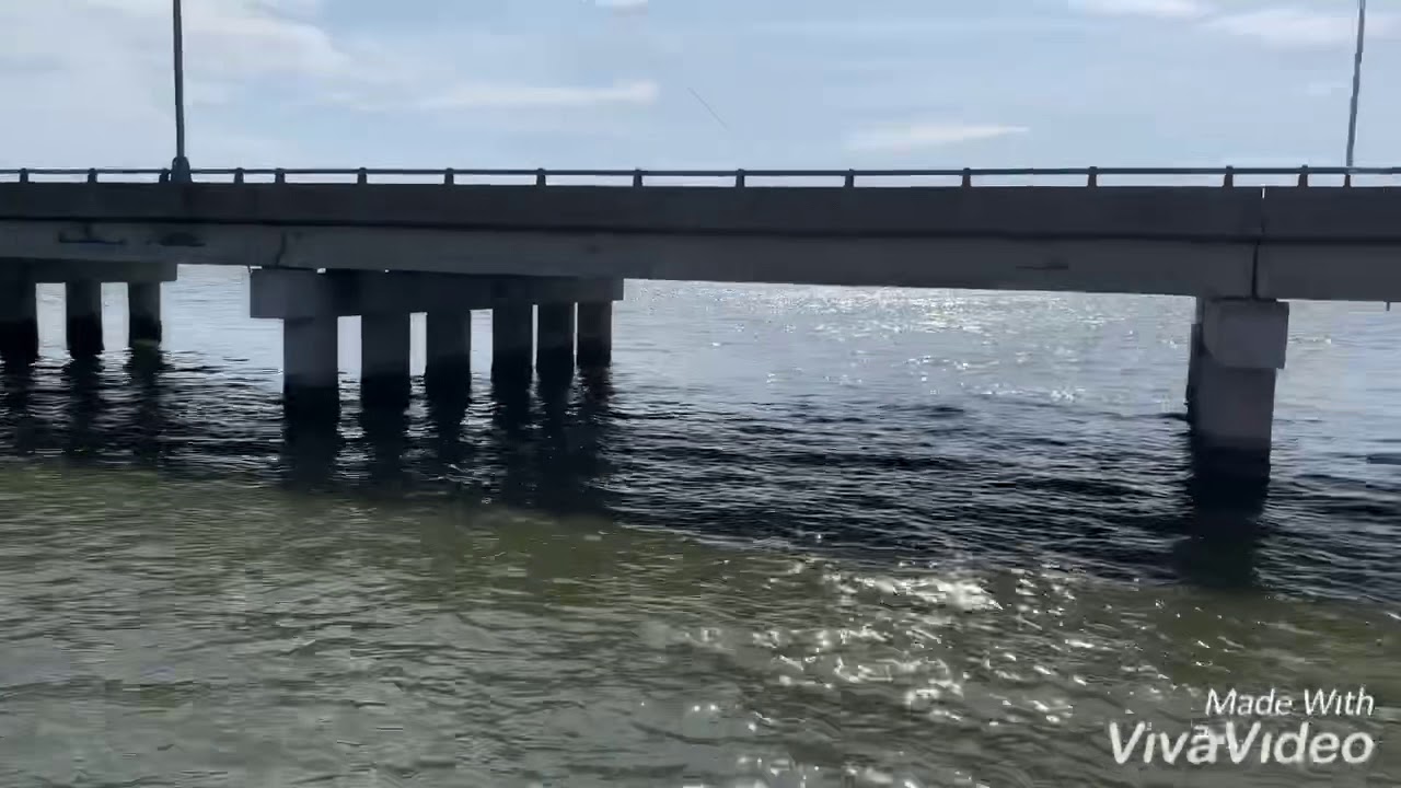 James river pier fish check