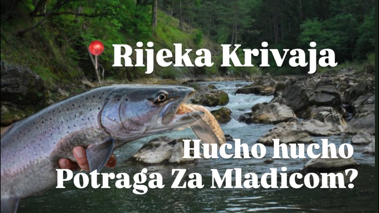 TAJNA MJESTA KRIVAJE? ODMOR,ROŠTILJ I POTRAGA ZA MLADICOM (krivolov na sve strane,opis🔽)