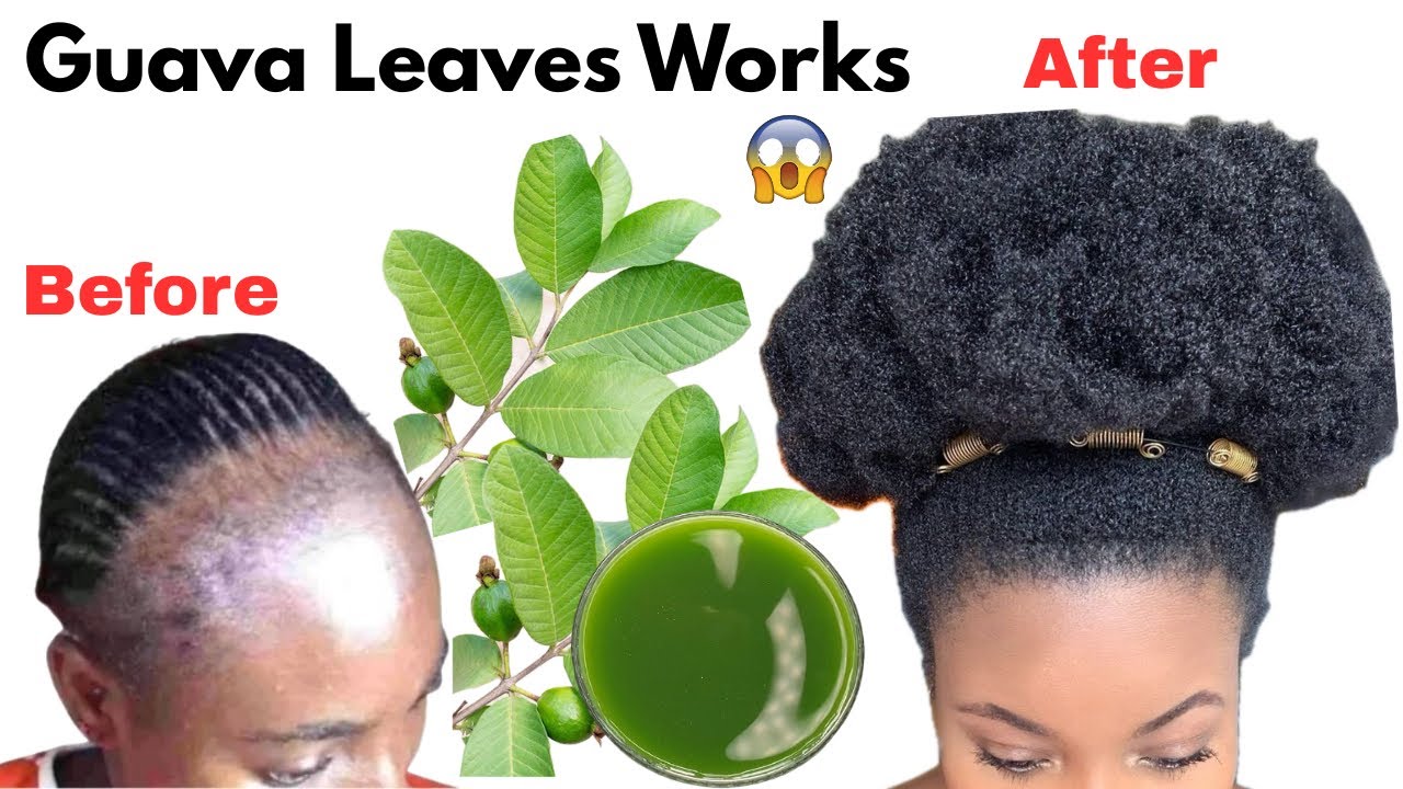 Use Guava Leaves Once & Your Hair Will Never Stop Growing | Overnight Results!