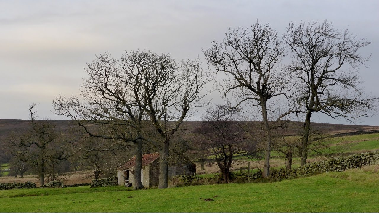 Westerdale, North York Moors - 11 December 2016