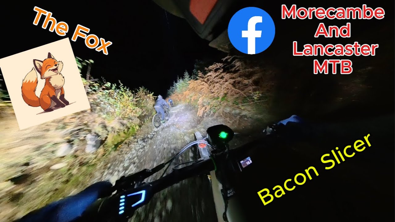 Grizedale Night Ride