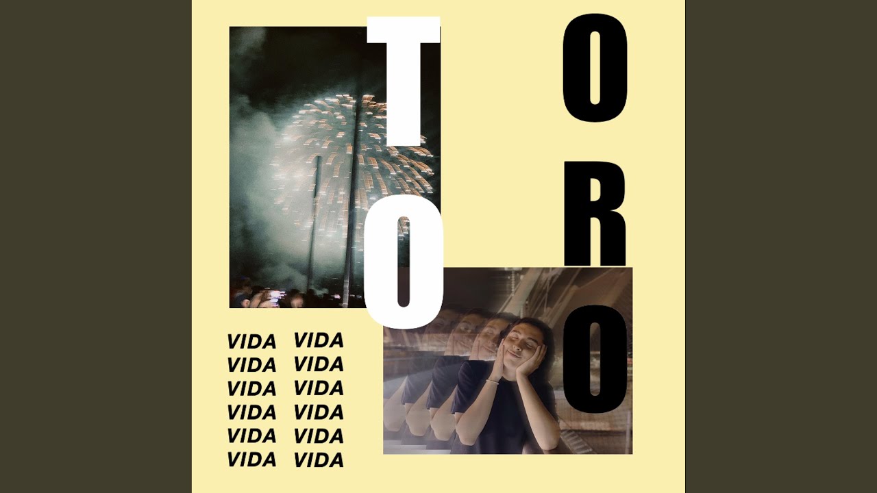 Vida