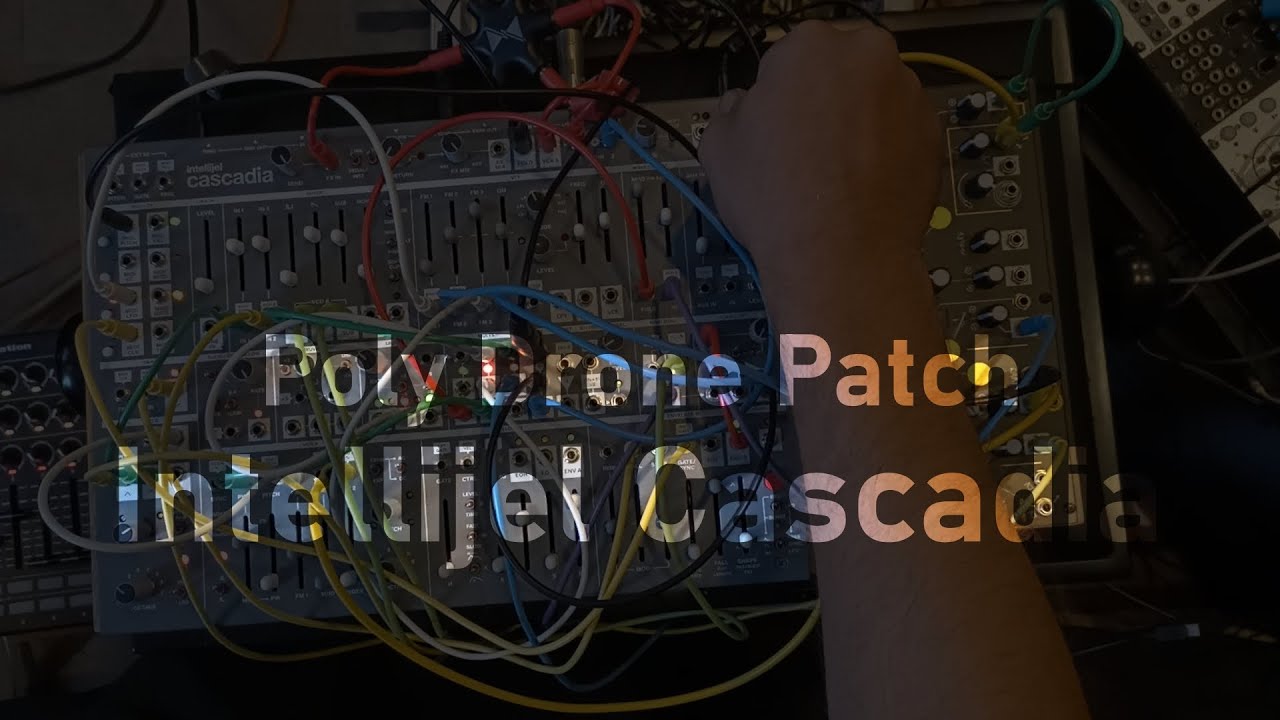 Poly Drone Patch w Intellijel Cascadia