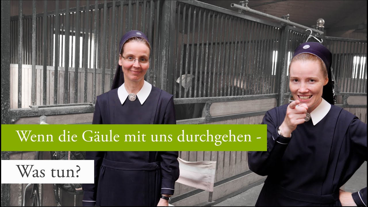 Wenn die G&auml;ule mit uns durchgehen - was tun?