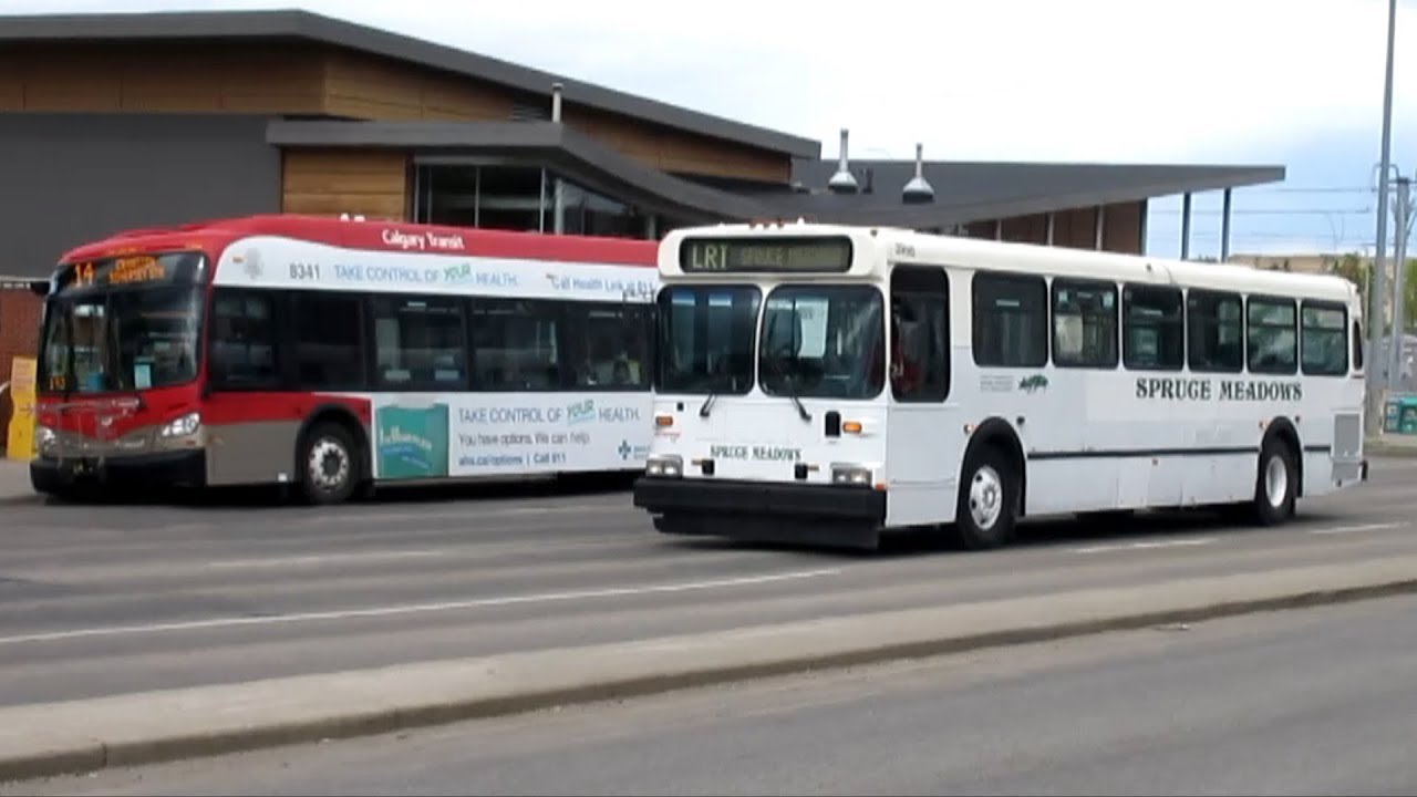 Buses in Calgary, AB (Volume Three)