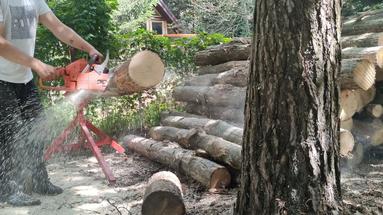 Husqvarna 254xp vs grab (Carpinus betulus) chainsaw cutting