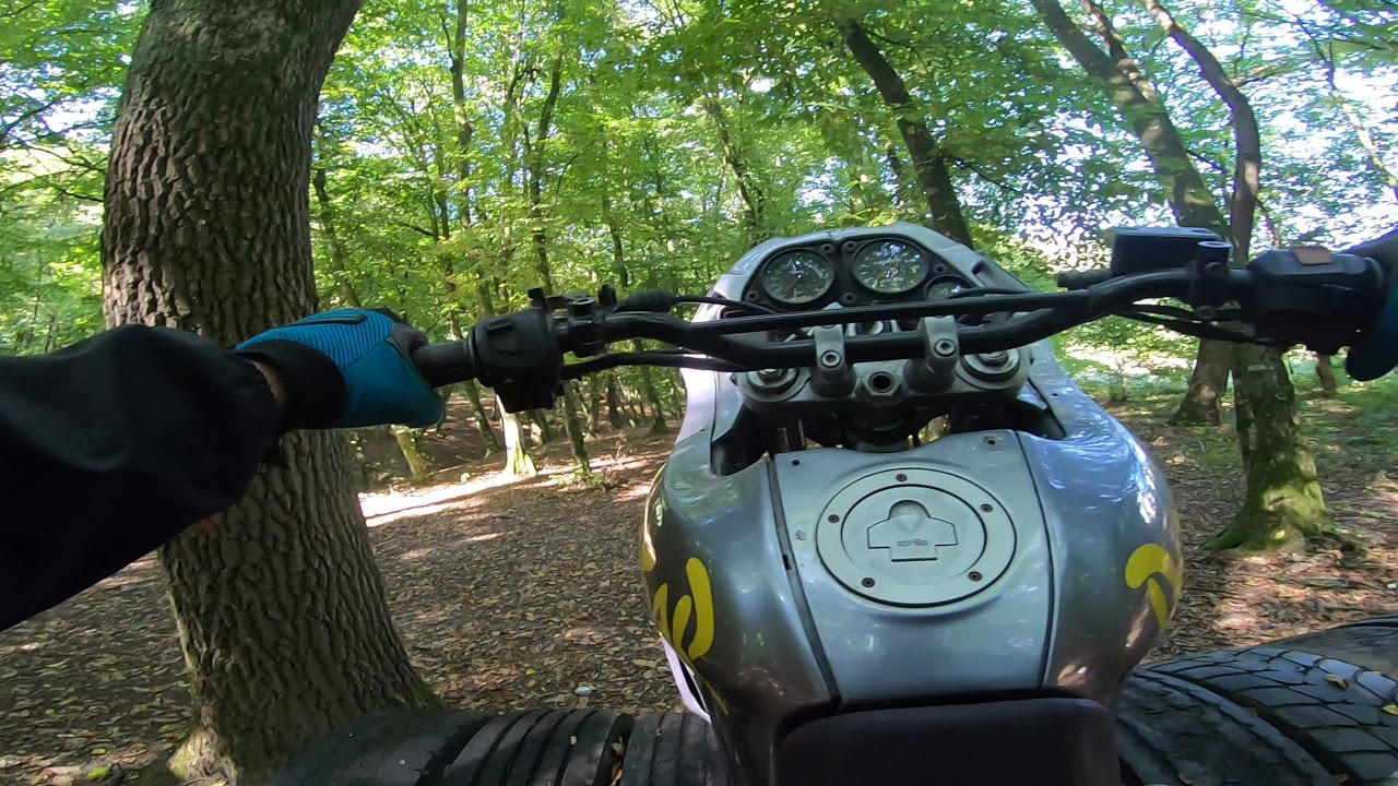 Aprilia Pegaso - Jumping logs and big tires