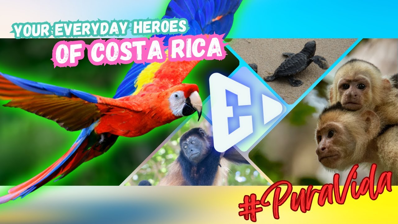 Award Winning Documentary | Heroes of Costa Rica #everydayheroes #animalrescue #wildlife