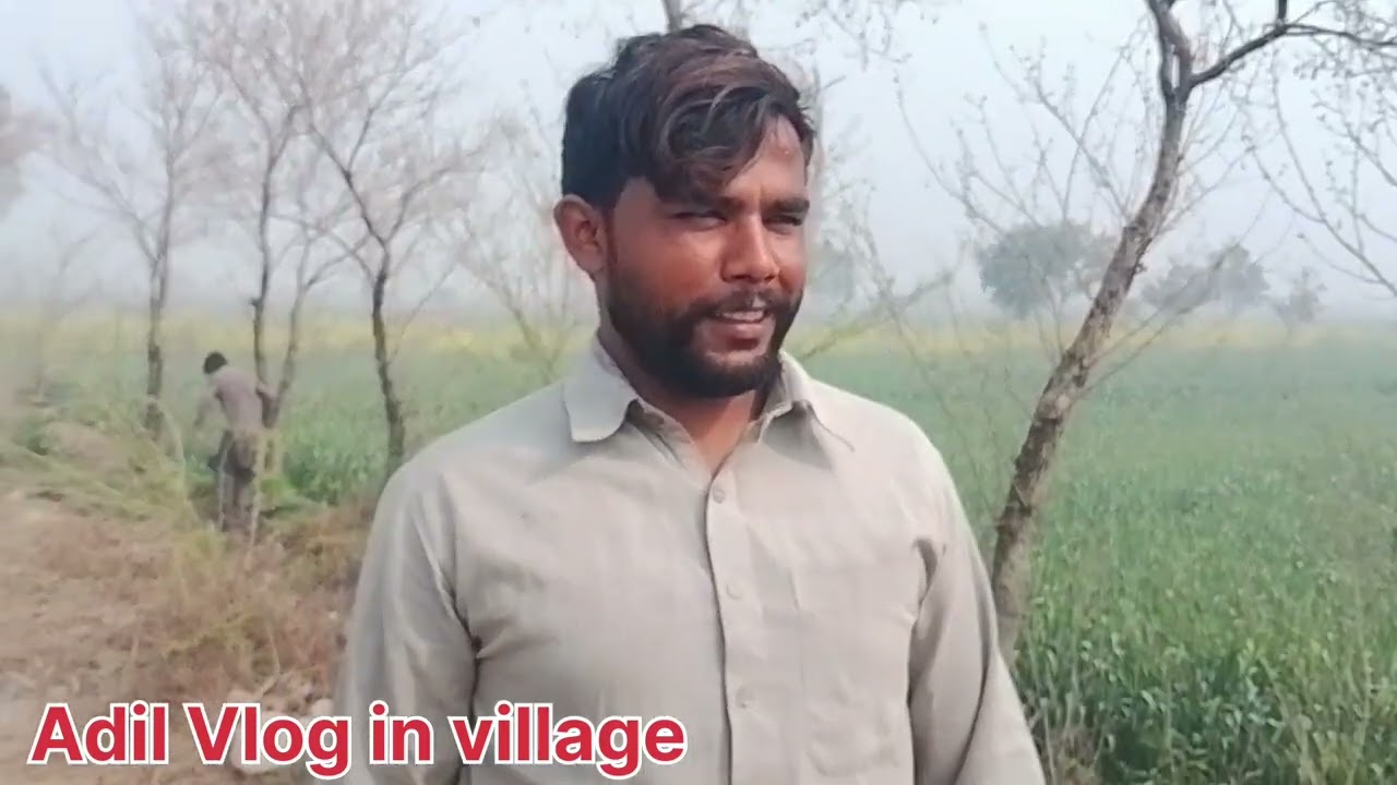 My village | Pakistan village in life | Punjab village in life | my village life | Punjab culture