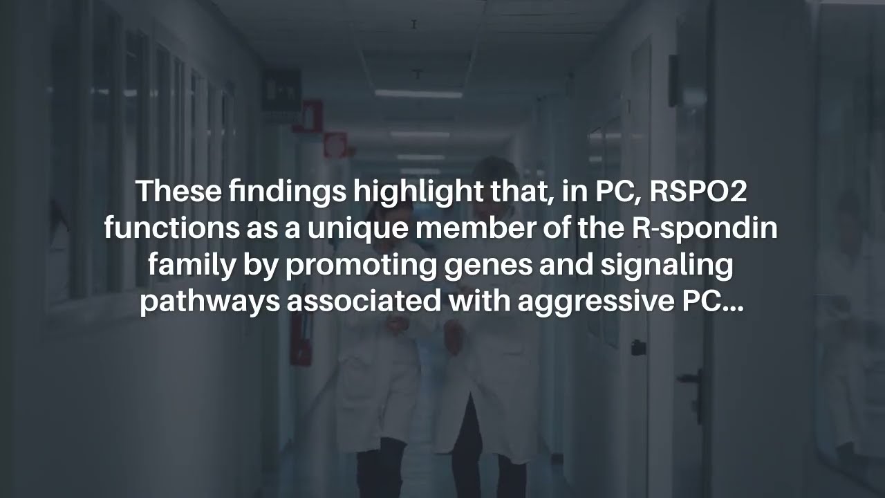 R-spondin Proteins in Metastatic Prostate Cancer: Functional & Clinical Insights | Oncotarget