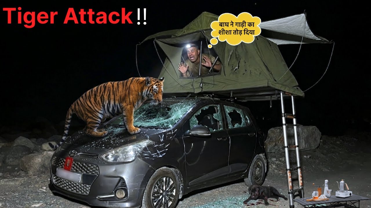 TIGER ATTACK!🐅 Jim Corbett Night Camping In Forest With Dog CHALLENGE GONE WRONG Jungle CampingVideo