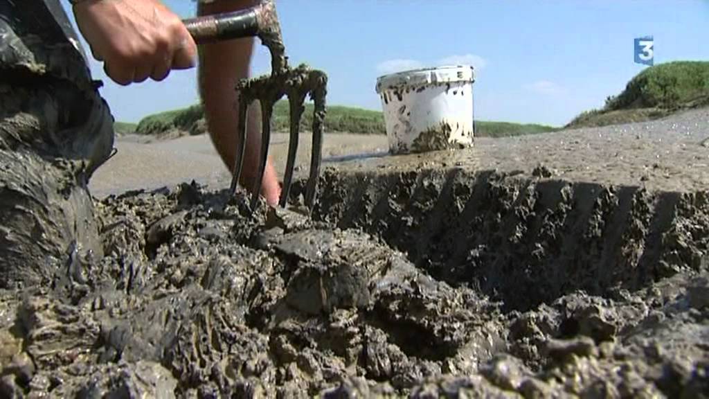La Baie de Somme en habits d'été : Reinette, verrotière.