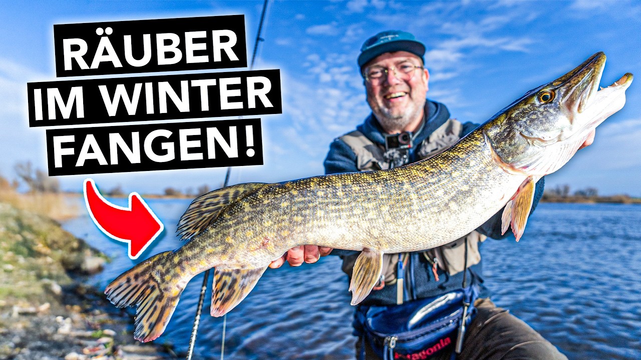 Hecht, Zander & Barsch im Winter fangen 🎣 Angeln leicht gemacht!