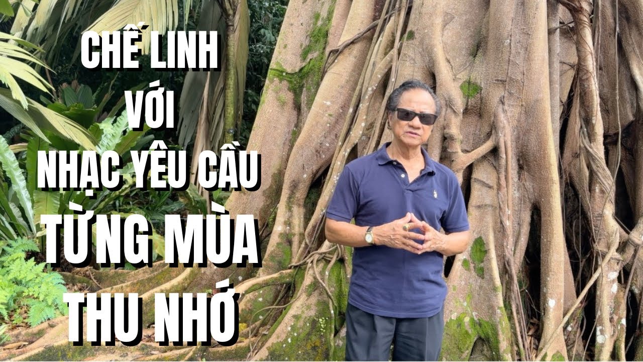 Chế Linh Với Nhạc Yêu Cầu | TỪNG MÙA THU NHỚ