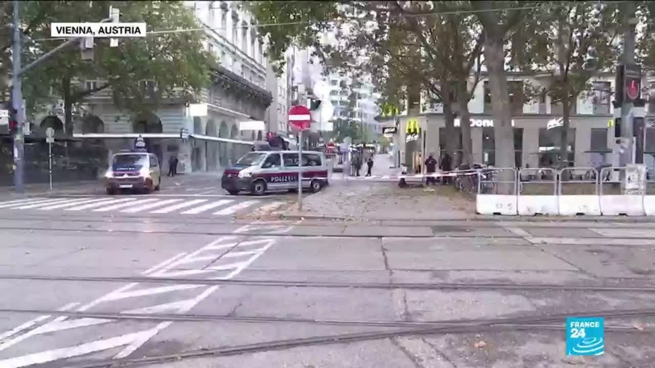 Vienna attacks: death toll rises as police hunt more gunmen