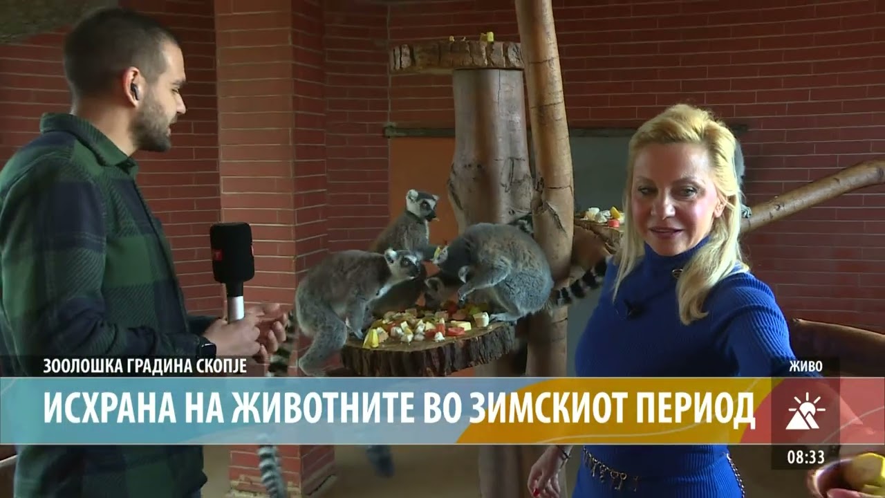 ЗООЛОШКА ГРАДИНА СКОПЈЕ - ИСХРАНА НА ЖИВОТНИТЕ ВО ЗИМСКИОТ ПЕРИОД
