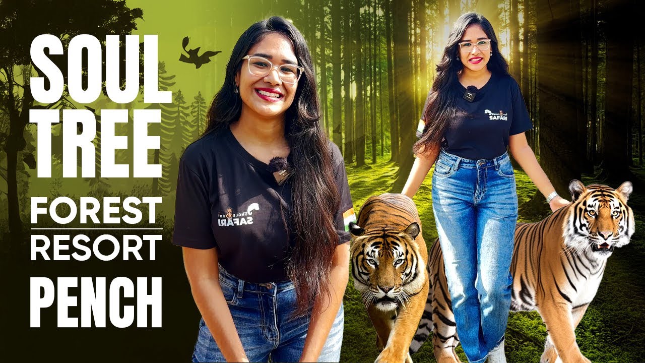 Luxury Resort in the Wild: Soul Tree Resort Tour | Best Stay in Pench National Park #pench #vlog
