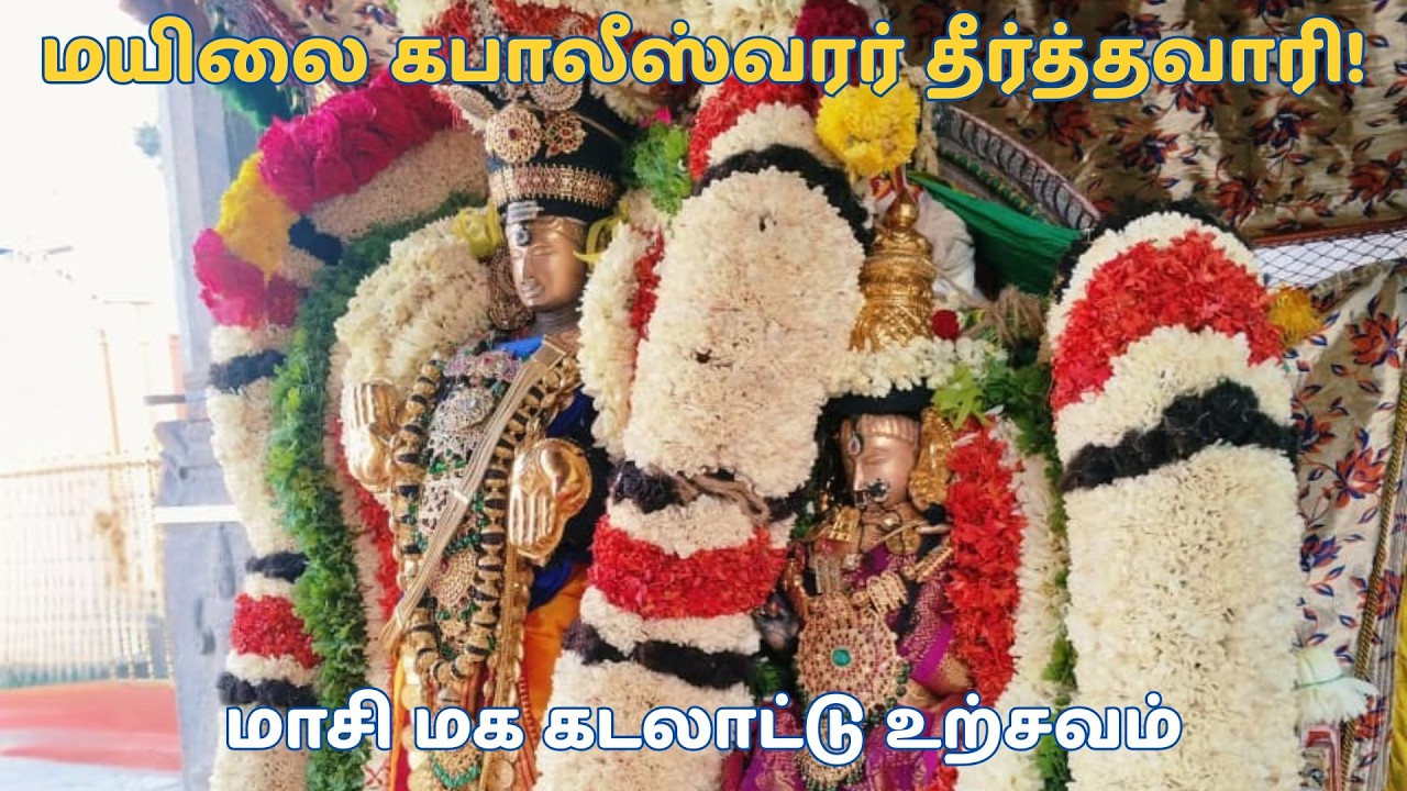 மெரினா கடற்கரையில் ஓம் நமசிவாய முழக்கம்! கபாலீஸ்வரர் - கற்பகாம்பாள் கடலாட்டு உற்சவம் - காட்சிகள்! ✨