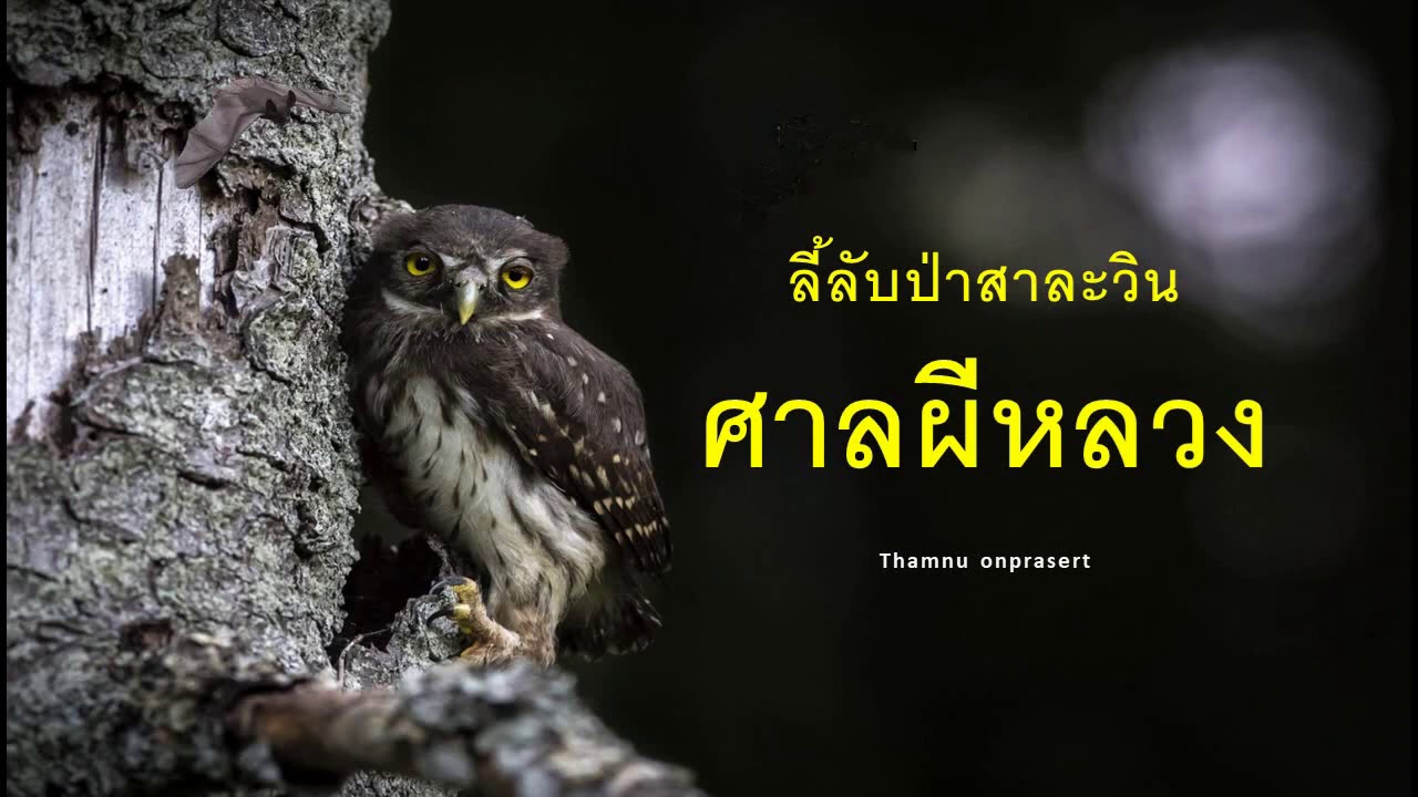 ๕๘.ศาลผีหลวง ลี้ลับป่าสาละวิน