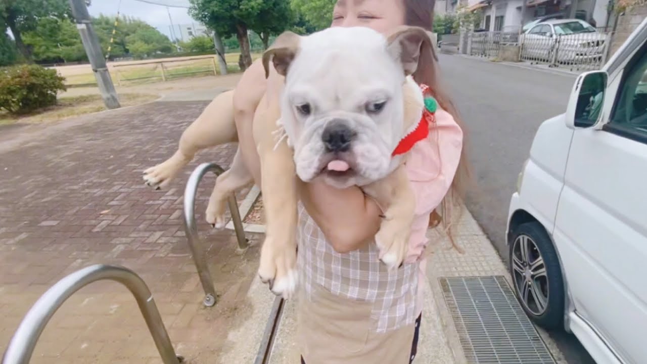 何かある度に抱っこと甘えてくるでっかい赤ちゃんが可愛すぎる