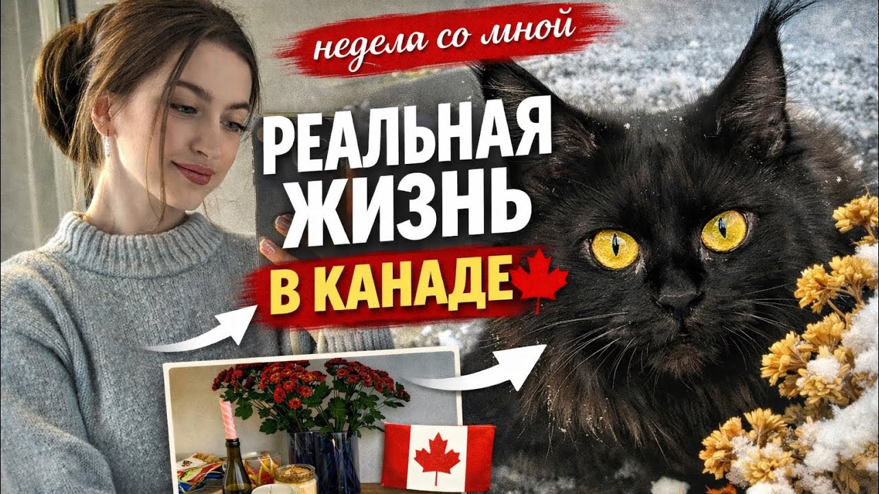 Реальная жизнь в Канаде 🇨🇦 | Неделя со мной
