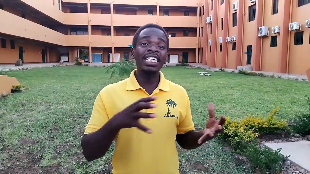 Extinguir ensino bilingue em Moçambique?