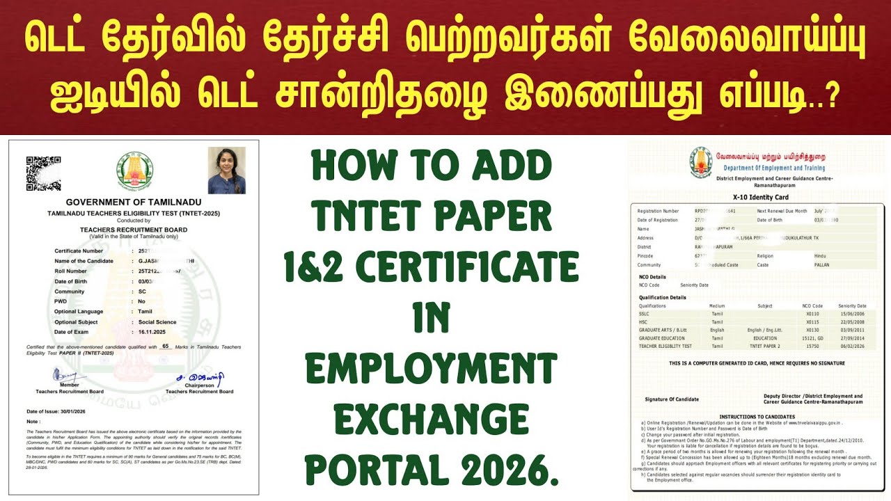 How to Add TNTET Paper 1&2 Certificate In Employment Exchange Portal 2026 | TNTET Pass Certificate