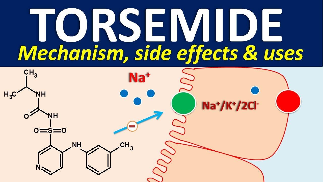 Torsemide - Mechanism, side effects and uses
