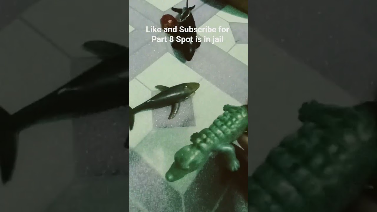 part 7 Spot went crazy
