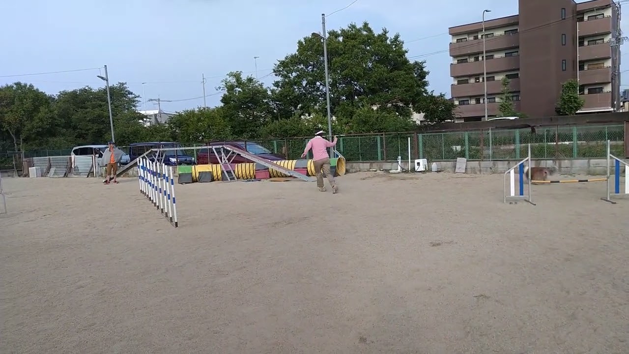 2025/7/6 ビッグドッグ１