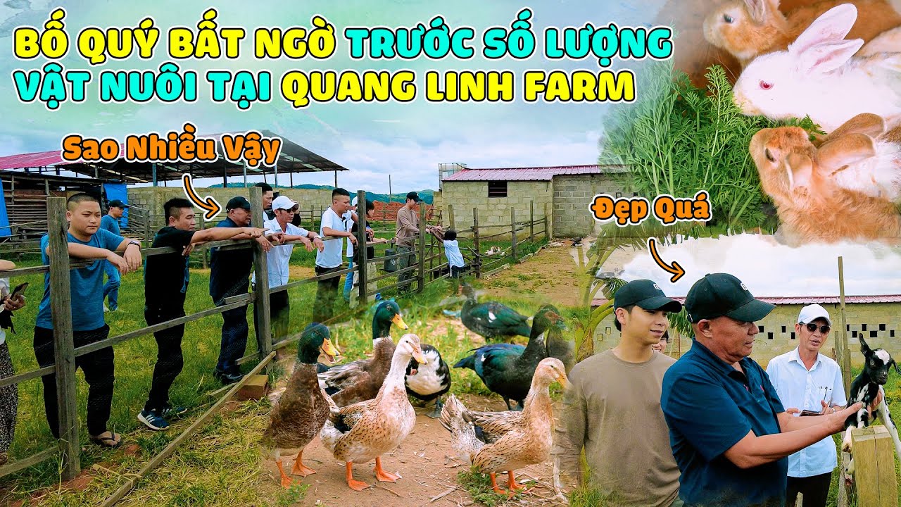 Quanglinhvlogs || Lần Đầu Tới Farm Bố Quý Cũng Bất Ngờ Số Lượng Vật Nuôi Tại Đây