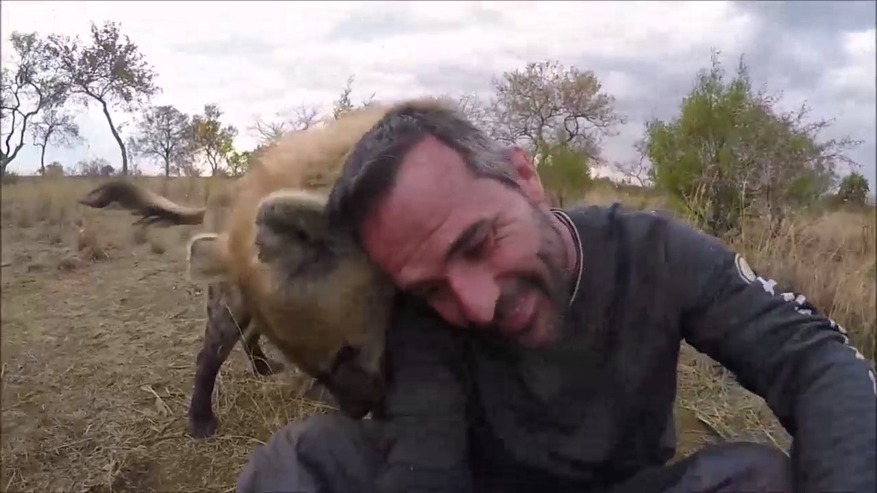 Kevin Richardson: l'uomo che sussurra alle iene. :)
