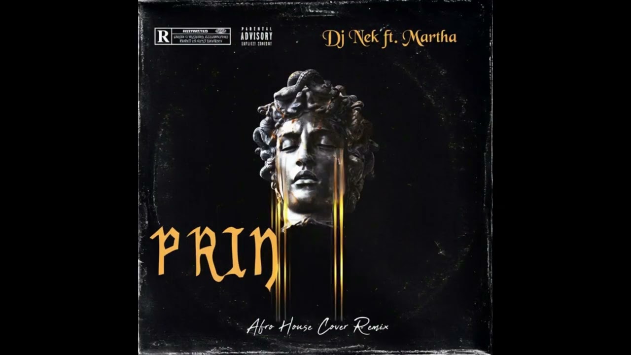 Dj Nek ft. Martha - Prin (Afro House Cover Remix)